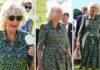 Camilla looks radiant in floral dress while enjoying ice cream at Salisbury festival