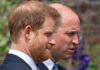 ‘Confident it can happen’ Prince William and Harry friend predicts brothers WILL end rift
