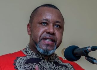 Malawi’s vice-president, 9 others killed in plane crash, president says