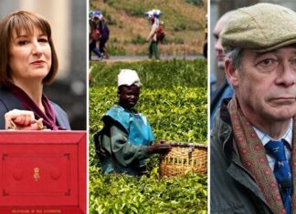 Fury as it’s revealed foreign farmers are being handed £500m in aid amid tractor tax row