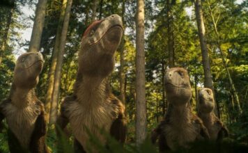 George the juvenile Gastonia’s fossil discovery sheds light on prehistoric life in Utah