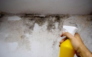 I asked 8 experts the best way to remove mould from walls — they all said the same thing