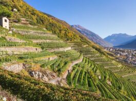 Wine region 2 hours from UK and way cheaper than Champagne