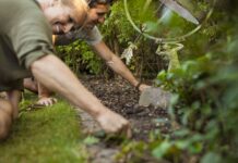 Expert urges Brits to remove 1 thing from garden before frost hits