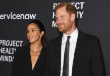 Prince Harry’s TV plan for Meghan Markle as he’s convinced Royal Family ‘need her’