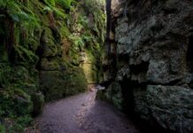 Peak District walk ‘straight out of Lord of the Rings’ is perfect for families